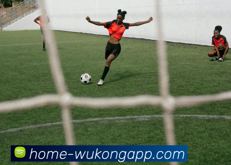 多媒体互动体验