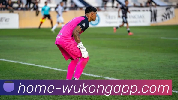 悟空体育appAPP 体育赛事宣传图